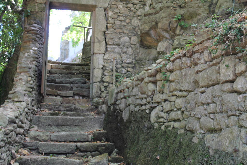 Bed and Breakfast L'Ecrin D'Osely à Lodève Extérieur photo
