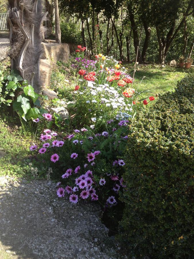 Bed and Breakfast L'Ecrin D'Osely à Lodève Extérieur photo